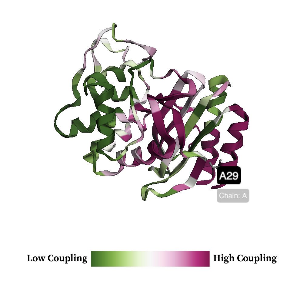 Dynamic Coupling Index